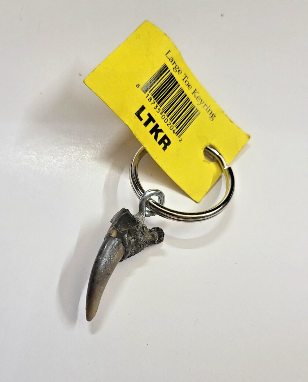 Alligator Large Toe Keyring – The Sand Pebble