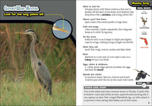 Kid's Guide to Birds of Florida
