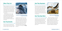 Ocean Animals For Kids